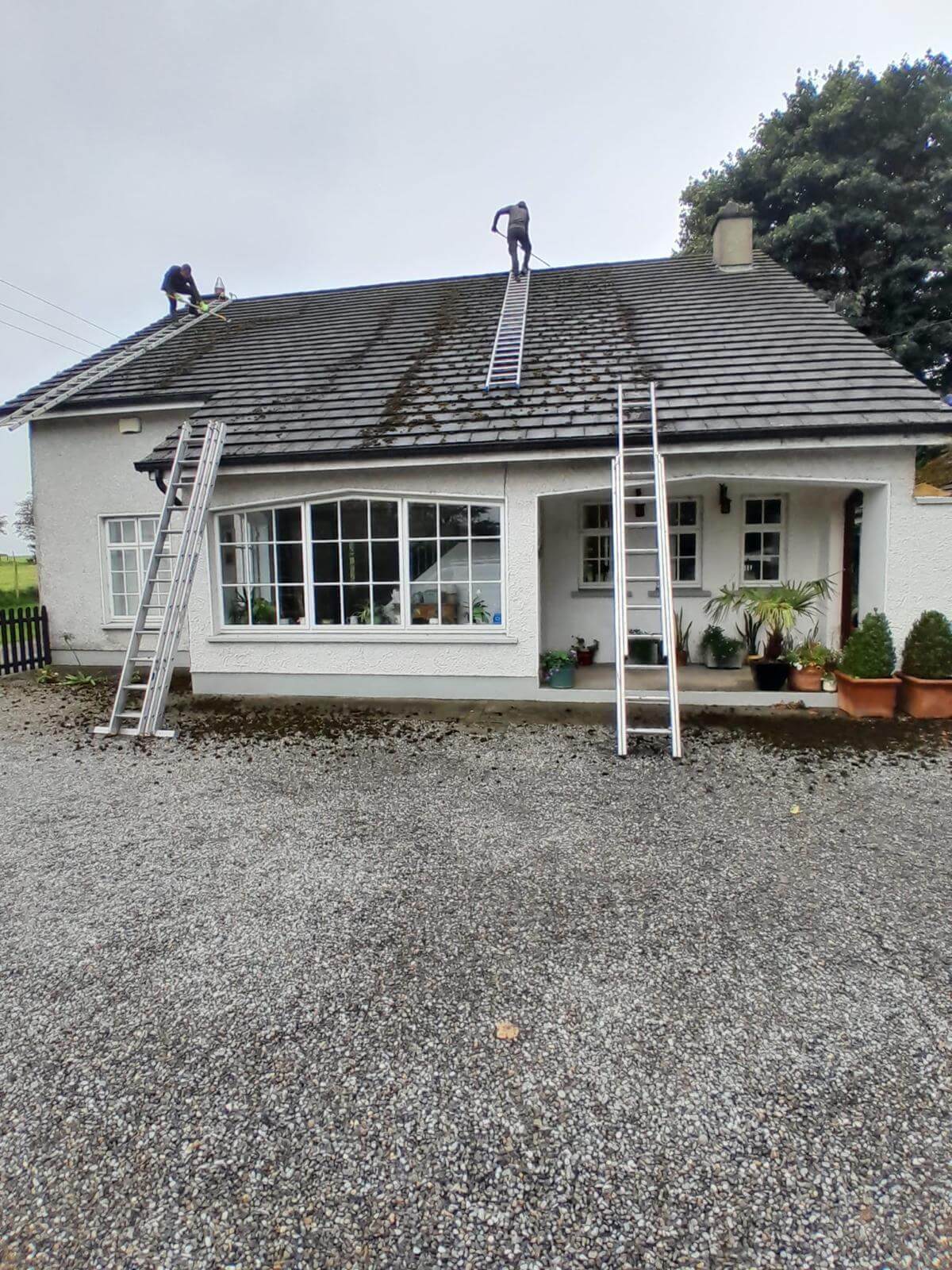 Cleaning moss from roof